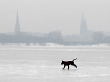 Den Hund trägt die zugefrorene Außenalster in Hamburg. Aber trotz langanhaltender Kälte misst das Eis nur 16 Zentimeter, weshalb das Betreten des Gewässers von der Polizei untersagt ist.