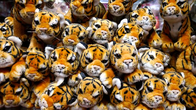 Mutige Machtmenschen übernehmen das Zepter: 2010: Jahr des Tigers
