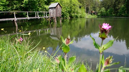 Teich mit Striegelhaus.