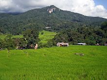 Reisfelder zwischen den Bergen: Im Norden Thailands leben die Menschen von der Landwirtschaft und nachhaltigem Tourismus.
