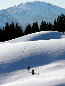 Die große Stille - Skitourengeher sind im Allgäu oft stundenlang in der Winterlandschaft unterwegs.
