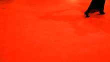 So geht Berlinale : Besuch, Schlangen, Fieber