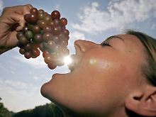 Rote Trauben enthalten viele Antioxidantien.