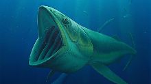 Das Bild stellt einen 70 Millionen Jahre alten Knochenfisch dar. 
