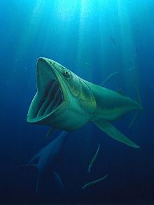 Das Bild stellt einen 70 Millionen Jahre alten Knochenfisch dar. 