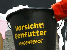 Unterdessen hat Greenpeace den neuen Ratgeber "Milch für Kinder - Einkaufsratgeber für den Genuss ohne Gentechnik" veröffentlicht.