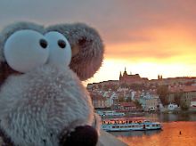 Ein Plüschtier in Prag vor der Moldau und der dahinter liegenden Prager Burg, ... 