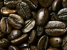 In Guatemala beginnt heute die 3. Weltkonferenz des Kaffees.