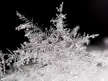 Schneekristalle haben einen Mittelpunkt, von dem alles ausgeht: weiße Landschaften, todbringende Lawinen, schmerzhafte Verluste.