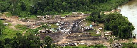 Mit dem Projekt Belo Monte schreitet die Abholzung des Regenwaldes am Amazonas voran.