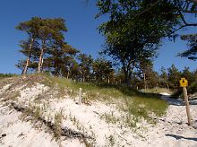 Nationalpark-Schild vor den Dünen am Darßer Weststrand zwischen Ahrenshoop und Prerow auf der Halbinsel Fischland-Darß.