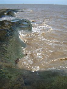 Trübes Meerwasser vor der Küste von Französisch-Guayana.