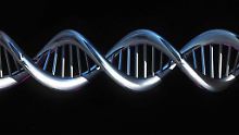 Das Modell einer Doppelhelix, die Grundstruktur der DNA-Stränge aller Lebewesen.