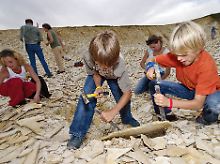 Kleine Schatzsucher: Im Fossiliensteinbruch im Altmühltal hoffen auch Kinder auf versteinerte Riesen-Libellen oder Tintenfische. 