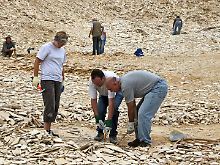 Die Schatzsucher im Fossiliensteinbruch Blumenberg nahe Eichstätt machen sich schon morgens an die Arbeit.
