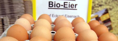 Bio-Eier sind Eier von glücklichen Hühnern. Oder?
