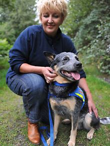 Die Retter: Hundeführerin Birgit Oschmann mit ihrem Rettungshund "Christo". Der Australian Cattle Dog hatte Kassandra  gefunden.