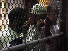 Im Gefangenenlager Guantanamo werden noch etwa 180 Menschen festgehalten. Immer noch ist unklar, wo die verbliebenen Insassen unterkommen sollen.