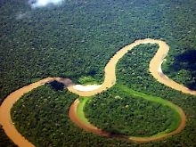 Unter dem Yasuní-Nationalpark befindet sich ein Fünftel der Ölvorkommen Ecuadors.