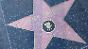 Hollywoods "Walk of Fame": Erster Stern vor 50 Jahren