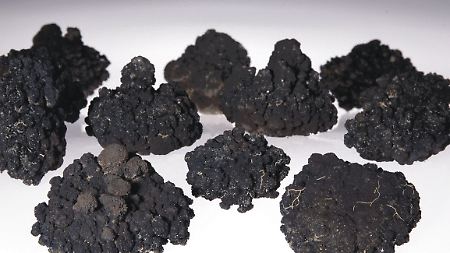 Manganknollen enthalten Mangan, Kupfer, Nickel und Kobalt.