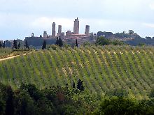 San Gimignano liegt auf einem 324 Meter hohen Hügel im Chianti-Land und ist umgeben von Weinbergen und Olivenhainen.