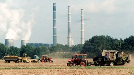 Ernte auf einem Kartoffelfeld der landwirtschaftlichen Produktionsgenossenschaft (LPG) Cottbus-Nord im Oktober 1989.
