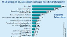 Grafik: EU-Auslandsbehanlungen nach Behandlungsarten.