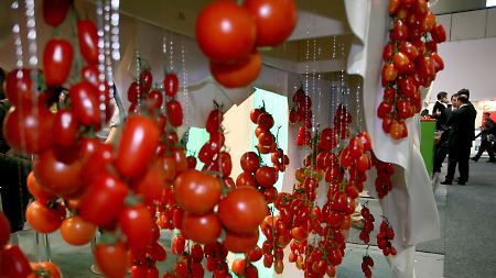 Mitunter hängt sogar der Himmel voller Tomaten (Messe "Fruit Logistica" 2008 in Berlin).