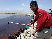 Louisianas Gouverneur Bobby Jindal inspiziert das verseuchte Gebiet im Süden seines Staates.