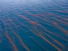An der Wasseroberfläche ist nur ein geringes Ausmaß der verheerenden Ölpest auszumachen. Der "Super-Gau" lauert unter Wasser.