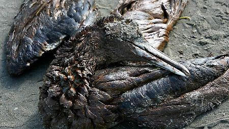 Ölpest im Golf von Mexiko: BP vor neuen Problemen