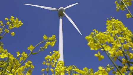 Boom-Industrie oder Sorgenkind?: Die Erneuerbaren am Scheideweg