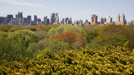 Die grüne Lunge New Yorks: Blick über den Central Park vom Dachgarten des Metropolitan Museum of Art aus gesehen.