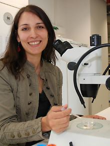 Planarien-Forschung live: Expertin Dr. Kerstin Bartscherer an ihrem Arbeitsplatz im Max-Planck-Institut für molekulare Biomedizin in Münster.