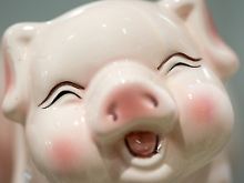 Ein Sparschwein, keine Wildsau, soll das Symbol der Koalition sein.