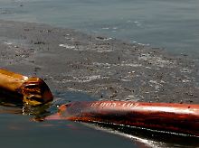Wegen der Ölverseuchung ist derzeit der Fischfang in einem Drittel der US-Gewässer im Golf von Mexiko untersagt.