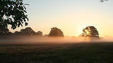 Naturwunder-Wahl 2010: Die schönsten Wälder Deutschlands