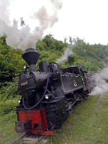 Gebaut für die Holzindustrie, heute auch bei den Touristen beliebt: Der Dampfzug "Mocanita" fährt unweit der ukrainischen Grenze durch Rumäniens Norden.
