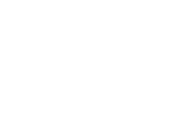 VisualVest