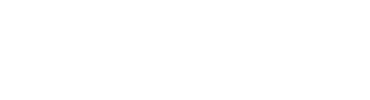 VisualVest