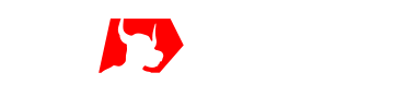 xm.com