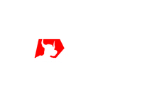 xm.com