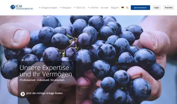 icm investmentBank AG