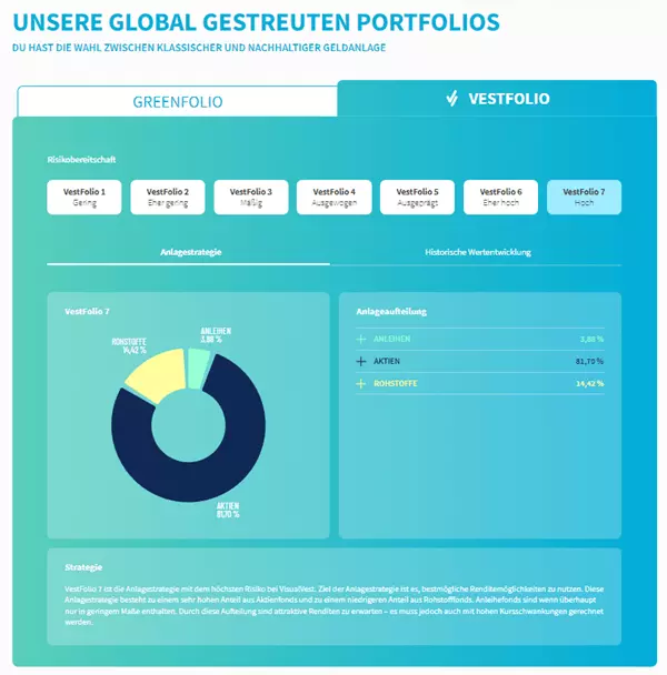 visualvest erfahrungen