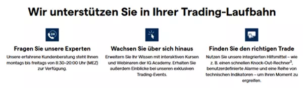 IG Steuer