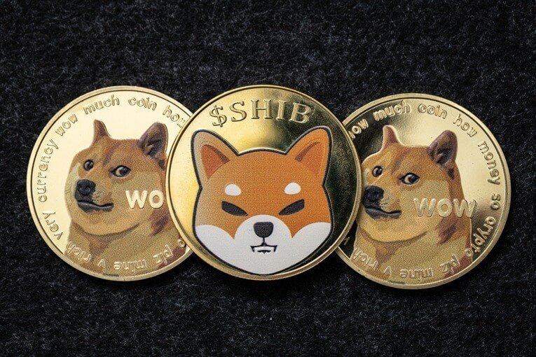 Shiba Inu