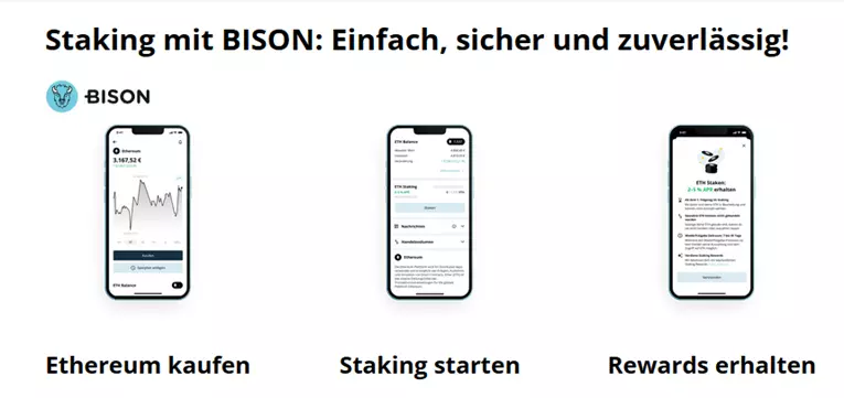 bison staking starten