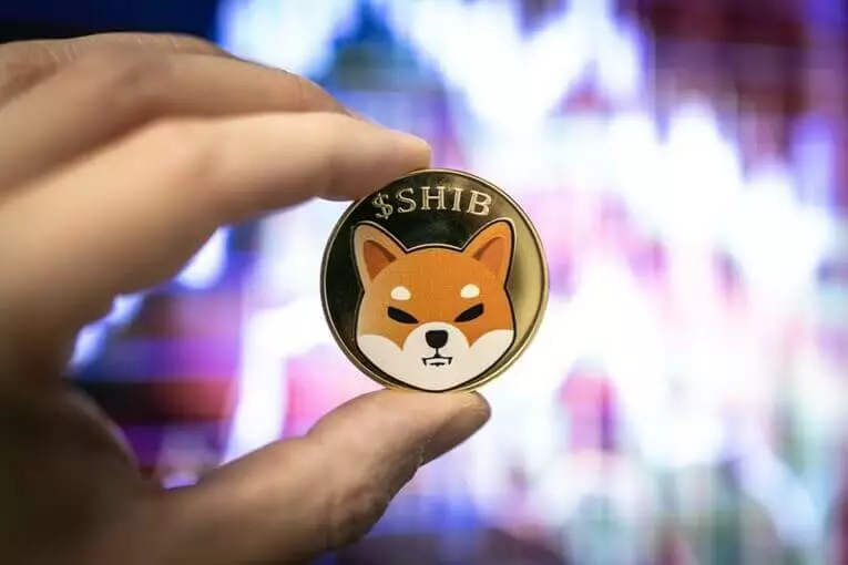chatgpt kryptoportfolio high risk