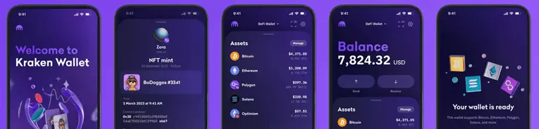 wallet kraken testen